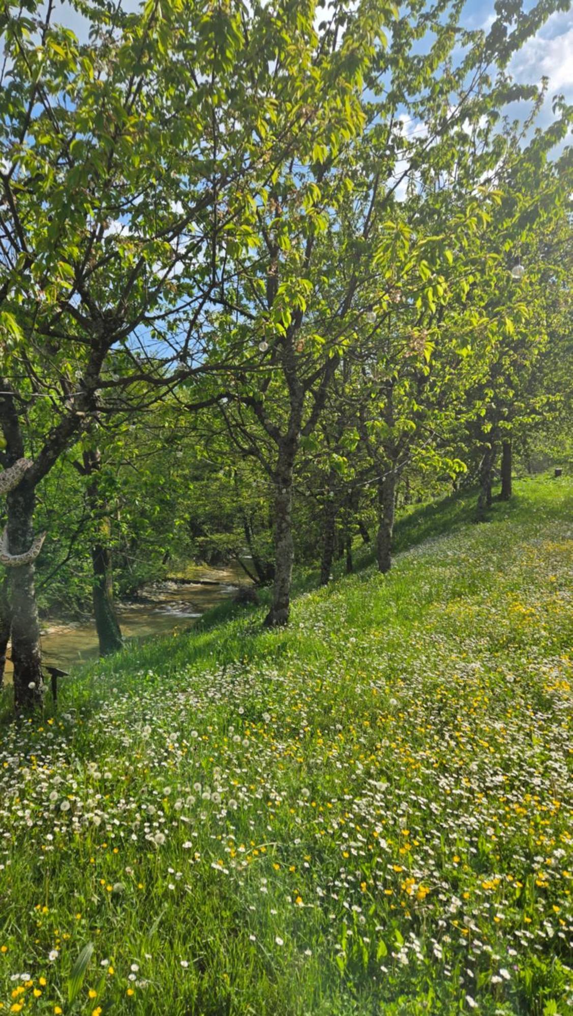 Borgo Corniola B&B Naturista Marradi Luaran gambar