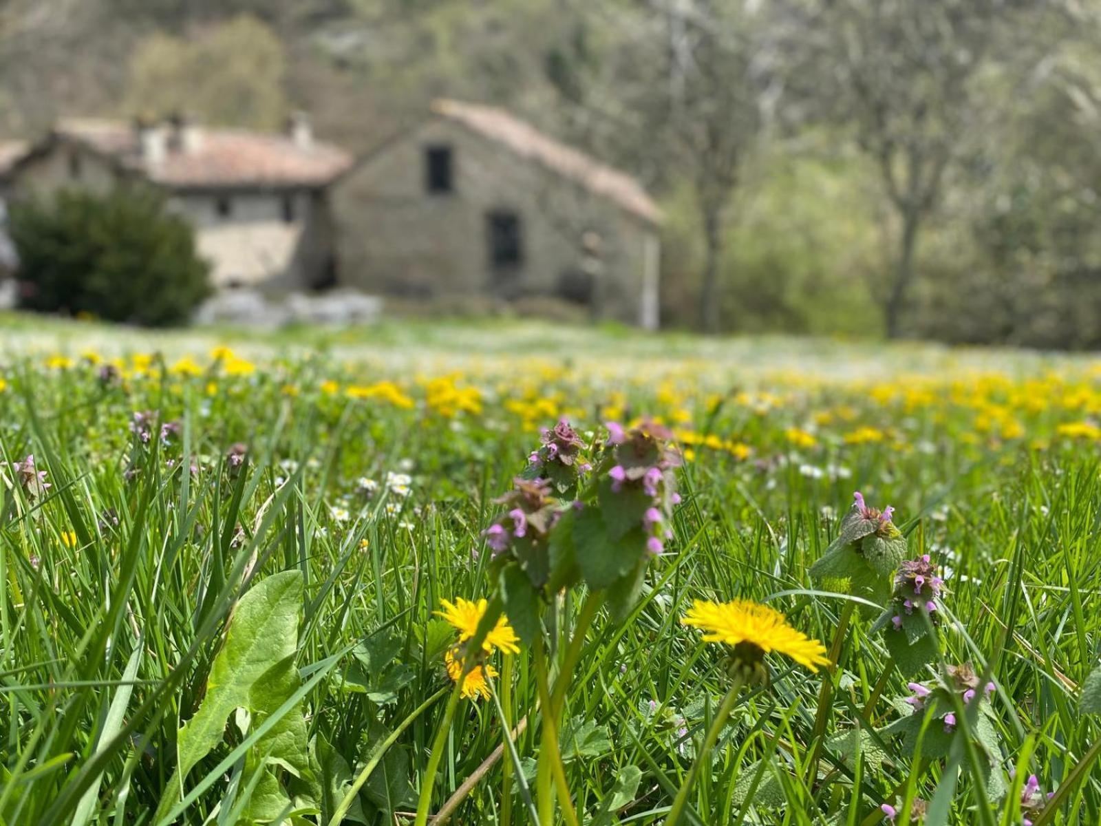 Borgo Corniola B&B Naturista Marradi Luaran gambar