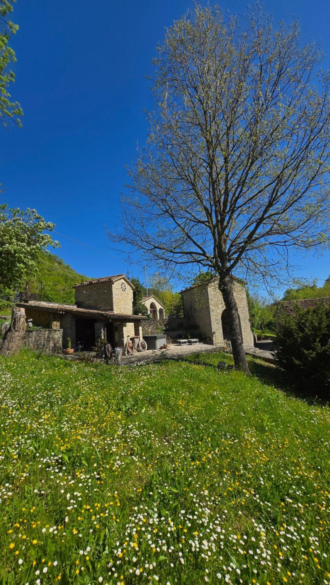 Borgo Corniola B&B Naturista Marradi Luaran gambar